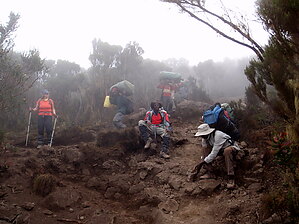 Sylwia-Bukowicka-Kilimandzaro-2009-078.JPG
