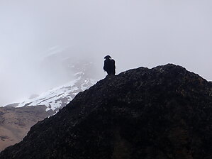Sylwia-Bukowicka-Kilimandzaro-2010-017.JPG