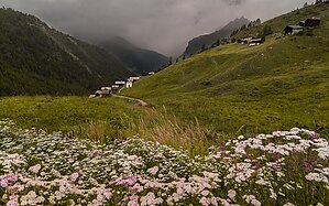 Alpy-Szwajcarskie-Marek-Weres-17.jpg