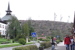 Tatrzanska-Kuracja-2005-30.jpg