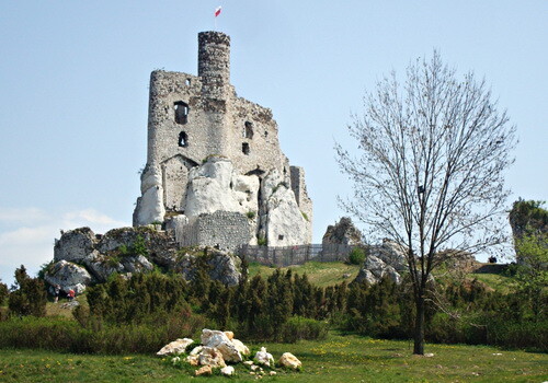 Ruiny zamku w Mirowie / fot. Paulina Wierzbicka