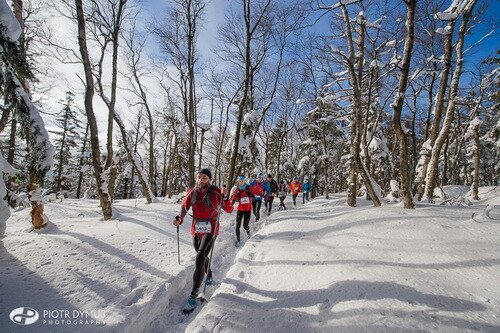 Zimowy Półmaraton Gór Stołowych, fot. Piotr Dymus