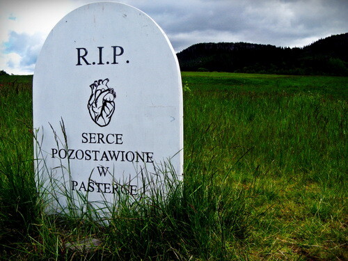 Pomniczek - serce pozostawione w Pasterce tuż przy Schronisku Pasterka z widokiem na Szczeliniec Wielki Fot. Paulina Wierzbicka