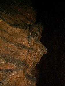 Jaskinia_Koralowa_32.jpg