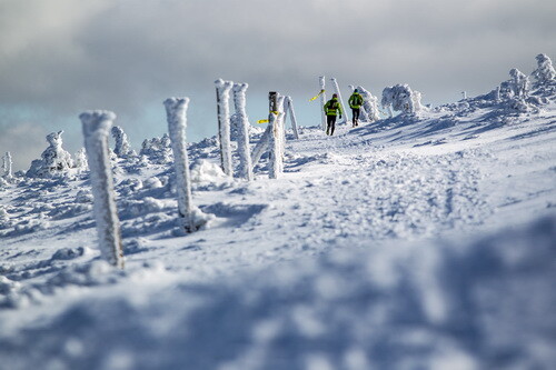 Zimowy Ultramaraton Karkonoski 