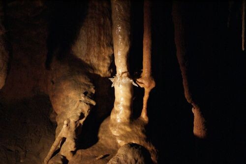 Jaskinia Krasnohorska (Krásnohorská jaskyňa Buzgó)